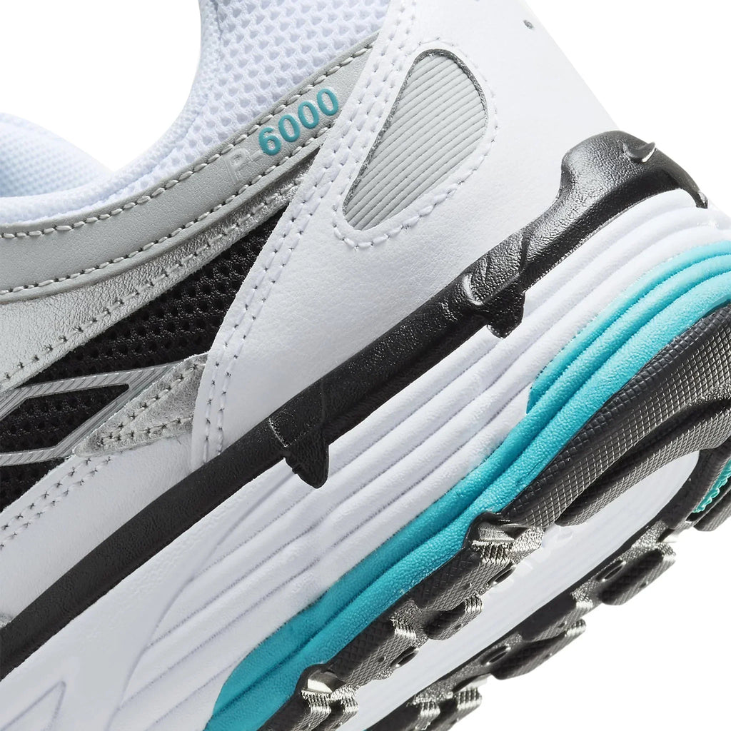 P-6000 Dusty Cactus