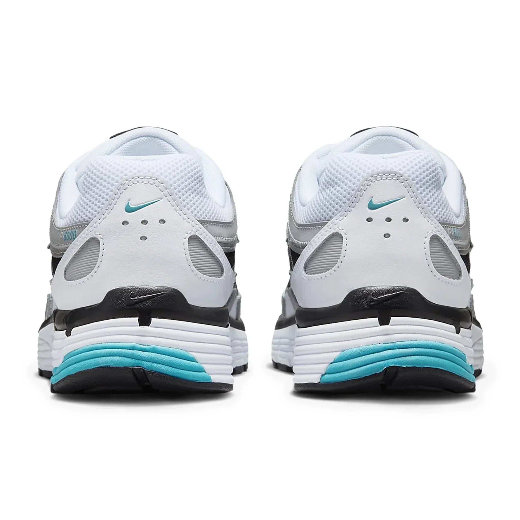 P-6000 Dusty Cactus