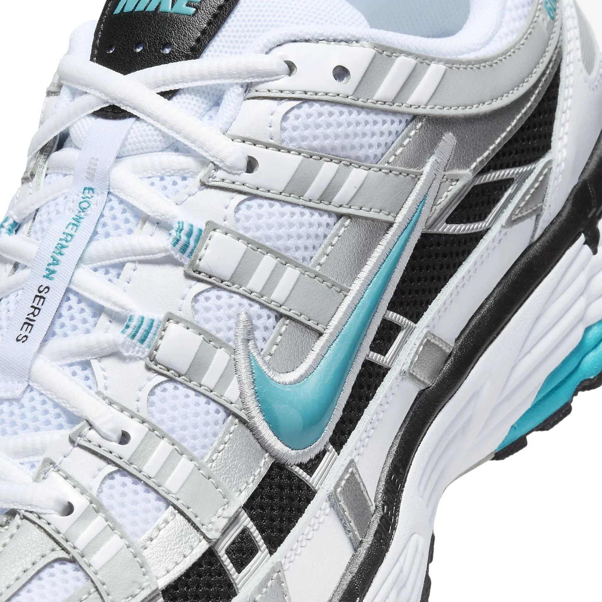 P-6000 Dusty Cactus