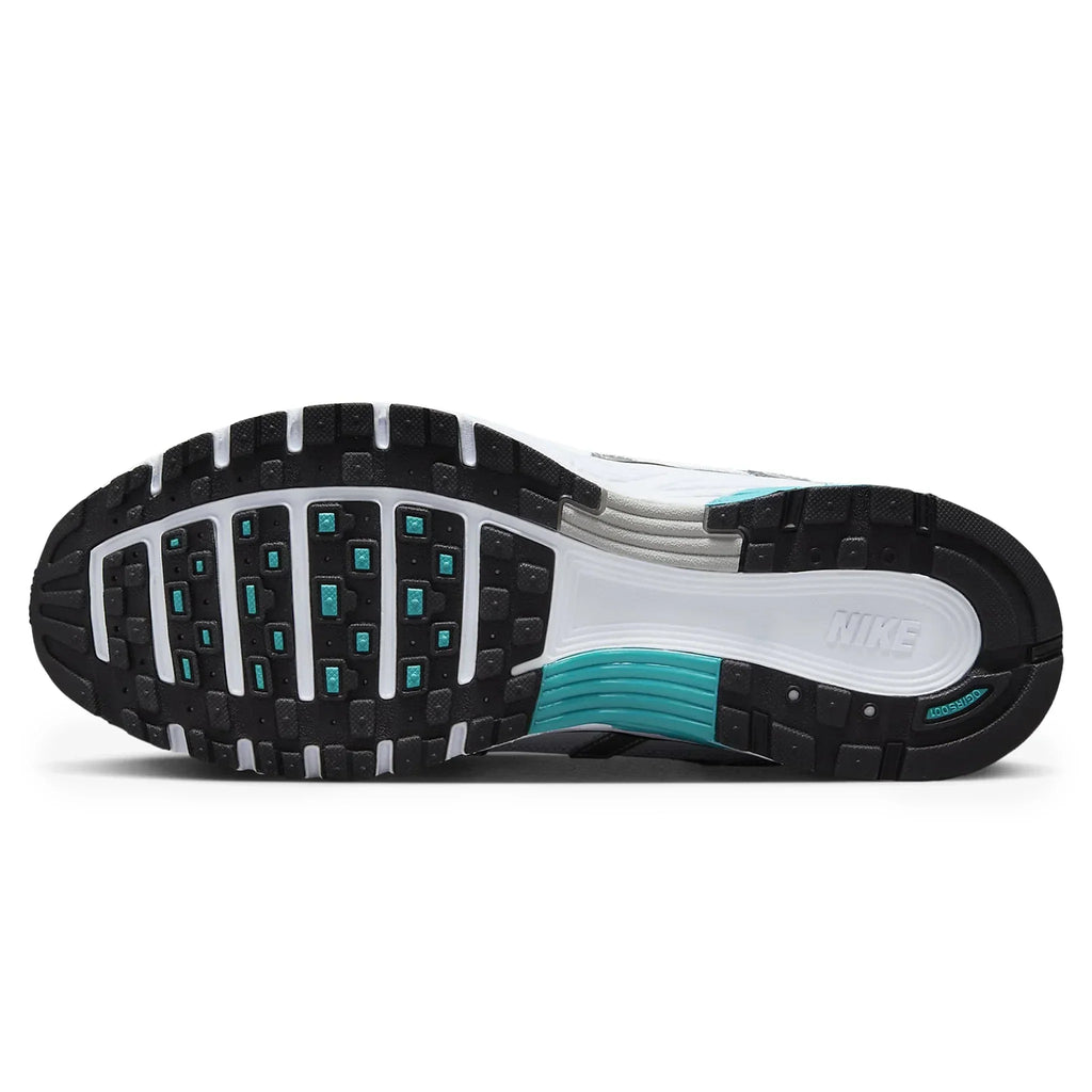P-6000 Dusty Cactus