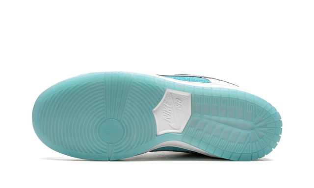 Skate Court Low Pro FTC Lagoon Pulse