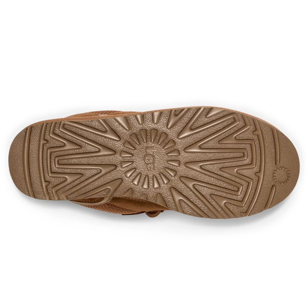 Lowmel Trainer Chestnut (W)